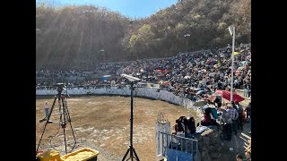 Tendeparacua 2026, jaripeo de toros bravos, 26 Enero