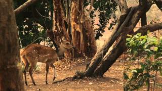 Norman Carr Safaris - Kapani