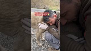 Hıçkıra Hıçkıra Bir Şey Söylüyor Sizce Ne Anlatmaya Çalışıyor