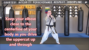 12 Punches- Foundation Hapkido