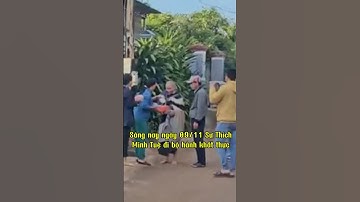 Sáng nay ngày 09/11 Sư Thích Minh Tuệ đi bộ hành khất thực #suminhtue #shorts