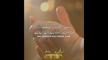 سورة النساء: ٢٧،٢٨|An Nisaa: 27,28|مؤيد المزين|Moid AlMazin|تلاوت قرآن پاك اردو ترجمے کے ساتھ