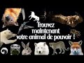 Un voyage guid pour rencontrer votre animal de pouvoir 