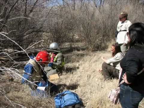 Bosque del Apache Field Trip