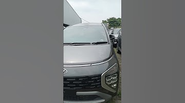 Thumbnail of STARGAZER PRIME 2024 _ DP 8 jt _ 081386479194