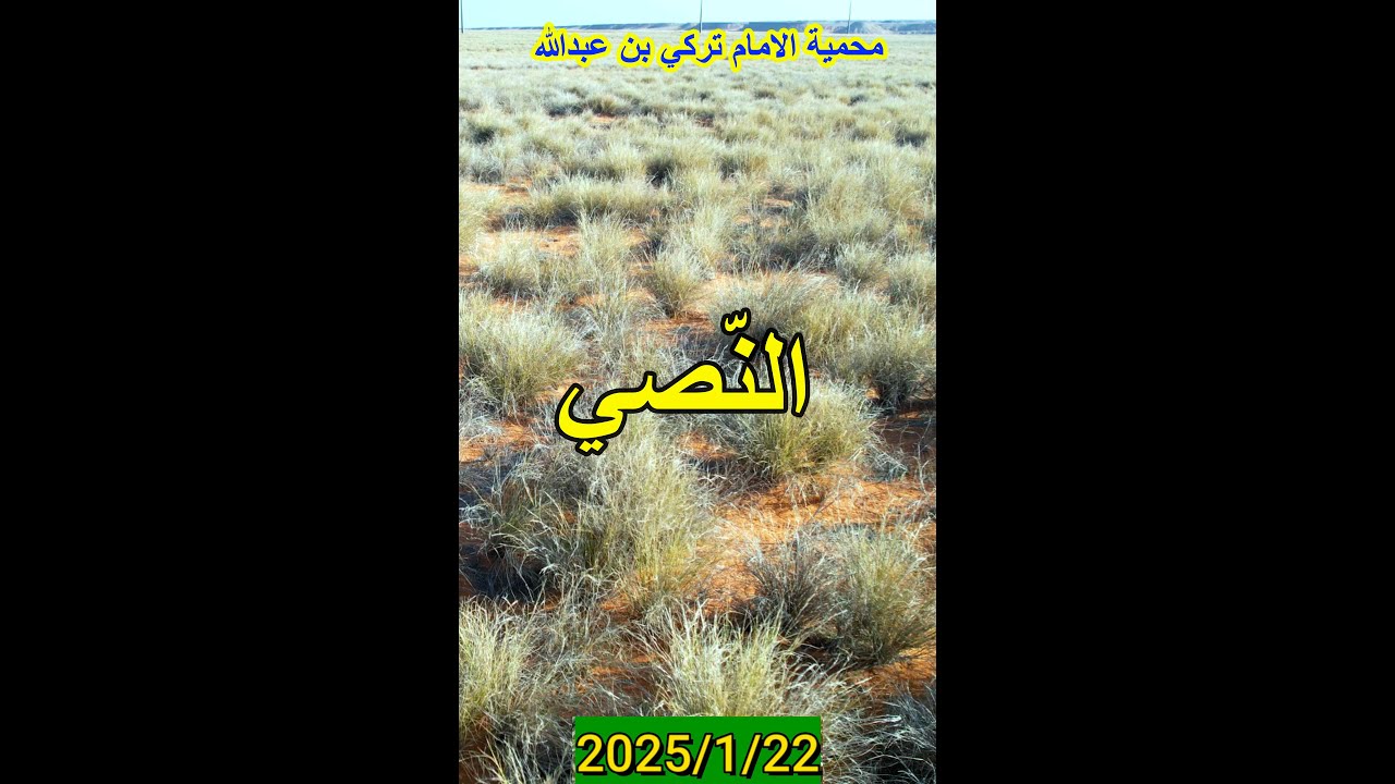 النصي ومحمية الامام تركي بن عبدالله