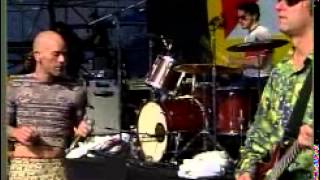 R.E.M. &quot;Suspicion&quot; live from the Tibetan Freedom Concert&quot; 1998