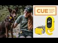 Remote Training Collar for Dogs | New Dogtra CUE 2022