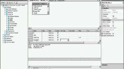 How to Show Images Dynamically into Crystal Report by Image Path