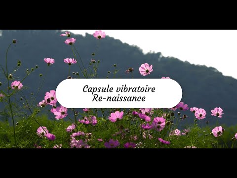 Capsule Vibratoire – Re-naissance | Pour accueillir un nouveau départ et renaître à soi