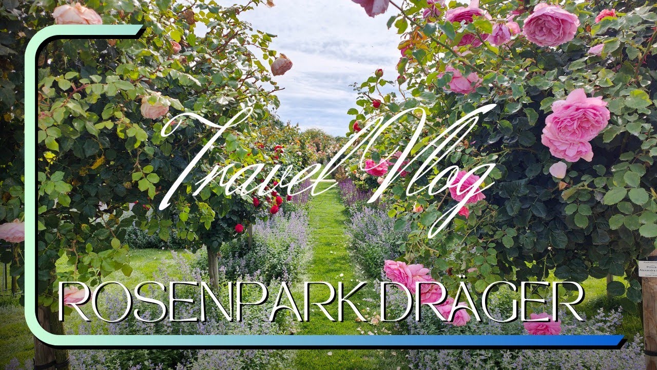 Bad Nauheim Rosenpark Dräger