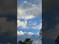 Evening sky and a bird