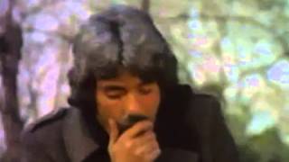 Ferdi Tayfur - Yolun Sonu - Zülüf