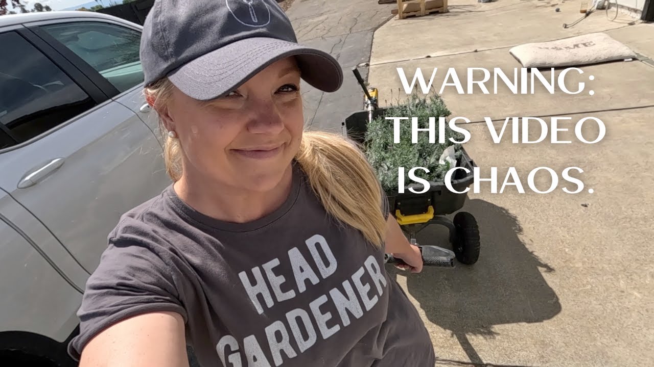 HUGE Perennial Haul, Planting Lavender & Cardoons, Plus a Bit of Chaos to Make Things Fun! 😆