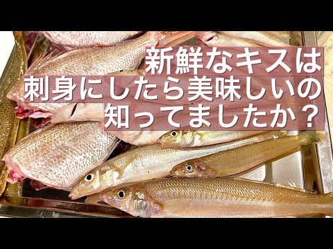 Vol 8 キス料理 実はキスの刺身は鯛の刺身よりも美味 Youtube