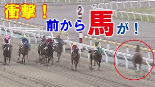 【競馬】逆走するカラ馬と競走馬があわや〝正面衝突〟