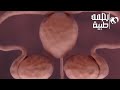 شاهد كيف يحدث القذف الي عند الأنثى وتك 