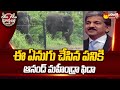 Anand mahindra tweet on elephant viral  garam garam varthalu sakshitv