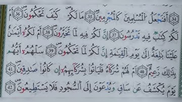 سورة القلم الآية من ٣٥ الى ٤٢ (35~42)