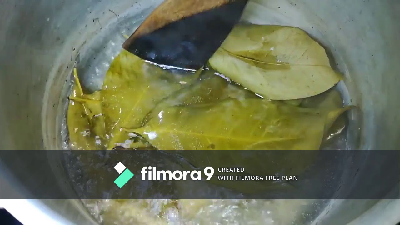 BENEFITS AND HOW TO MAKE BAY LEAF TEA YouTube