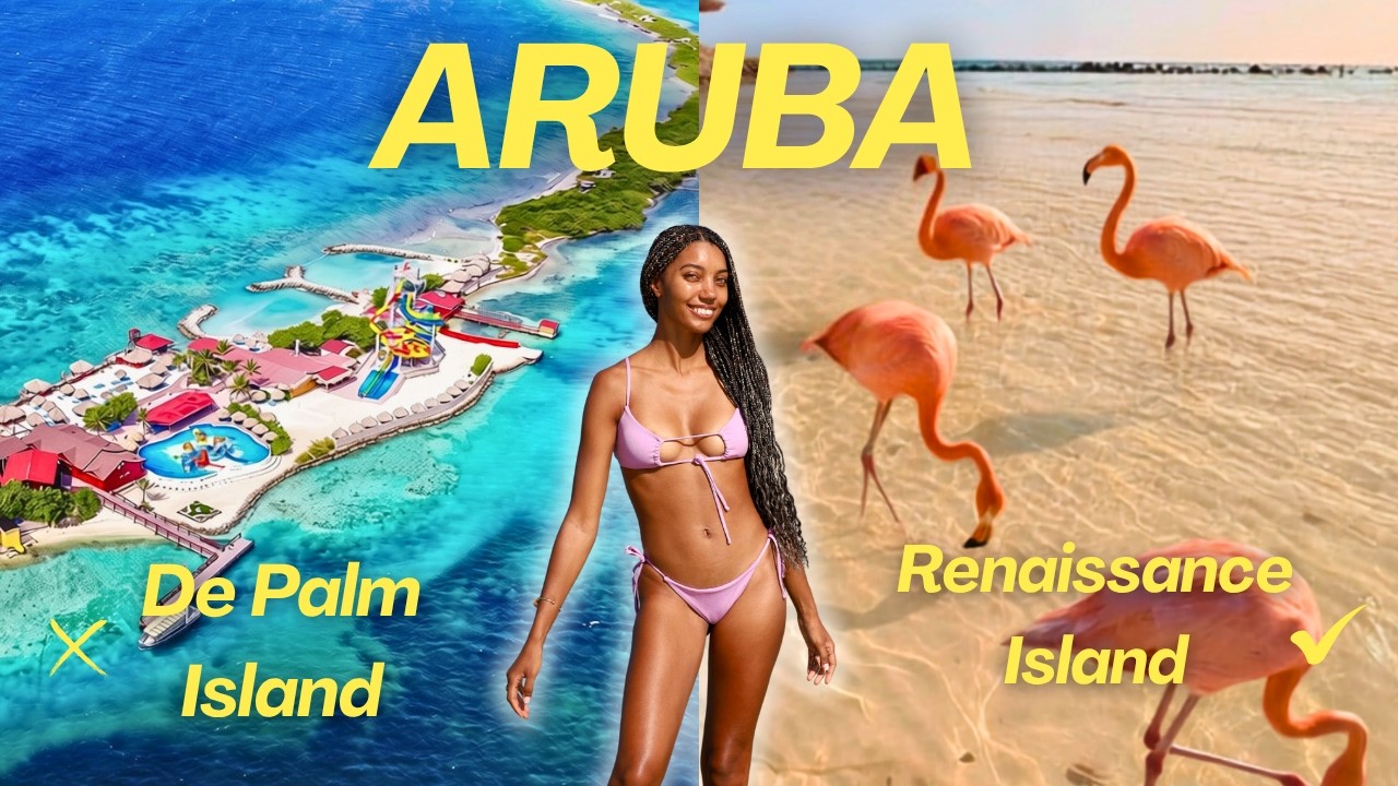 De Palm vs Renaissance Island: Which Aruba Flamingo Beach Is Worth It?