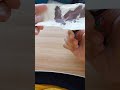 Paper magic trick