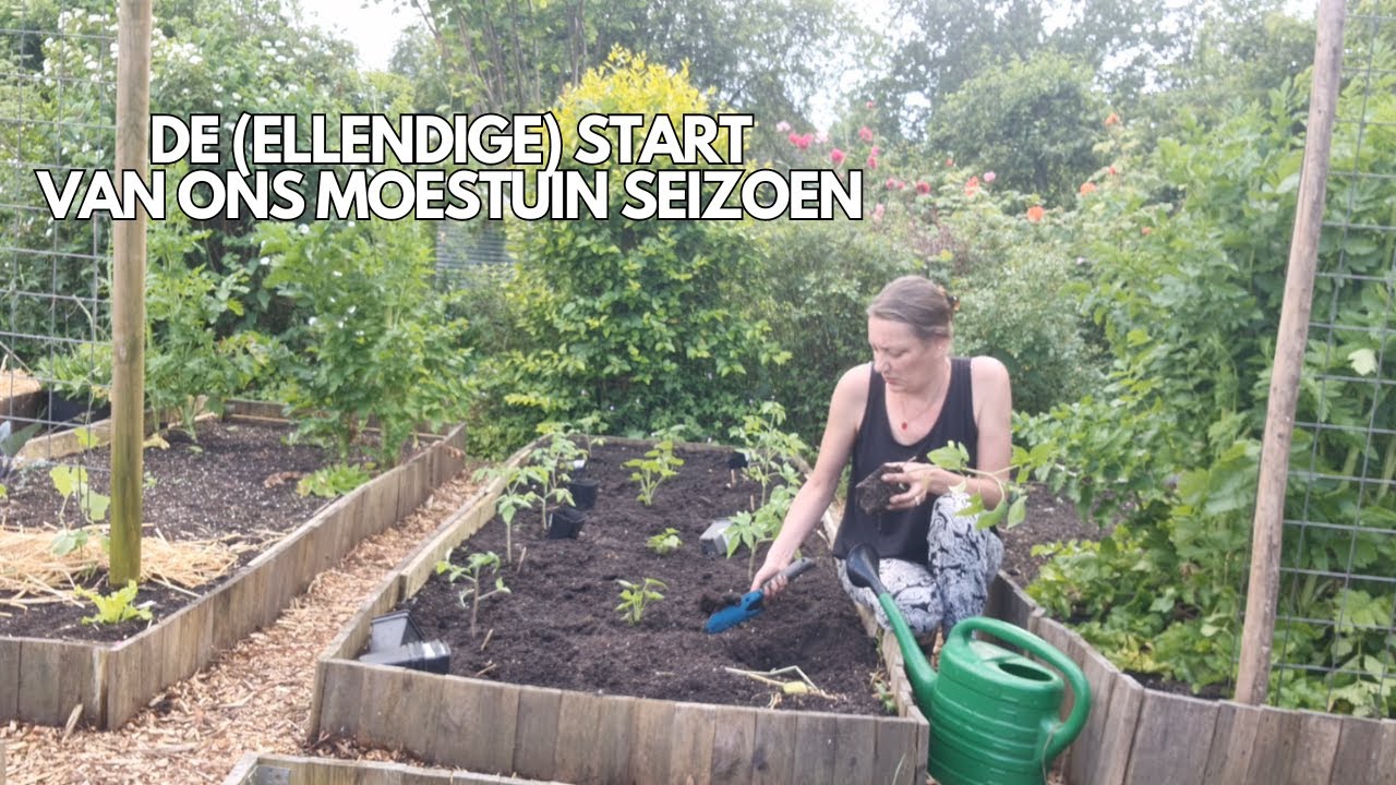 De (ellendige) start van ons moestuin seizoen.