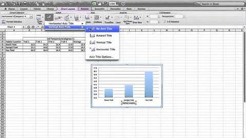 How to Excel (Bar Graph and Error Bars)