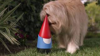 Introducing Google Gnome  - the latest product from Google,