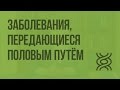 Наследственные и врождённые заболевания. Заболевания, передающиеся половым путём. Видеоурок