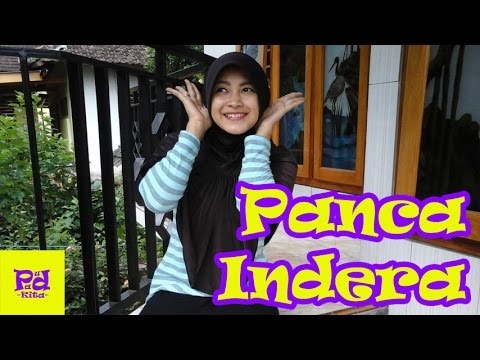 Panca Indera Tema Diri Sendiri Youtube Gambar Anak Tk