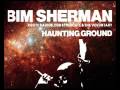 Bim Sherman, Roots Radics, Dub Syndicate & The Voluntary