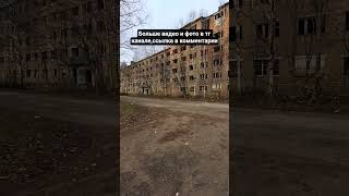 #холостяк #shortvideo #печора #коми