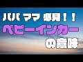 【パパママ必見】ベビーインカーの意味