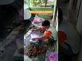 Panen & Sortir Buah #fyp #fruit #video #petani #farming #kelengkeng #farming #pertanian #usa #europe
