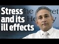 Stress and its ill effects  dr dinesh  more than bread 