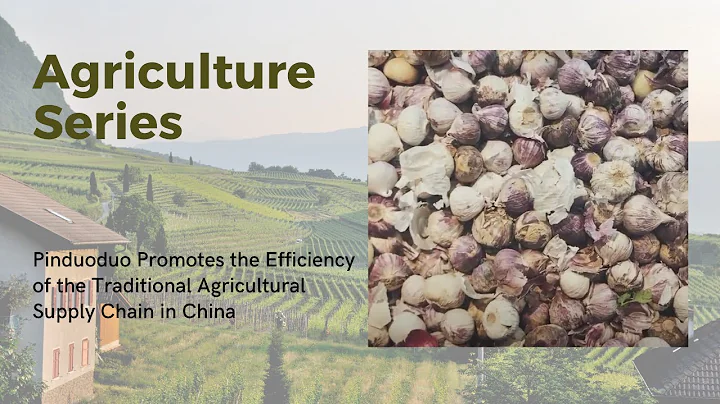 Pinduoduo Promotes the Efficiency of the Traditional Agricultural Supply Chain in China - DayDayNews