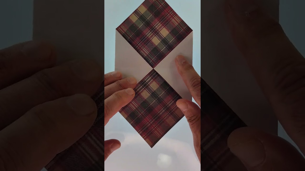 Traditional Origami Fold: "No Name" (Paper Folding ASMR)