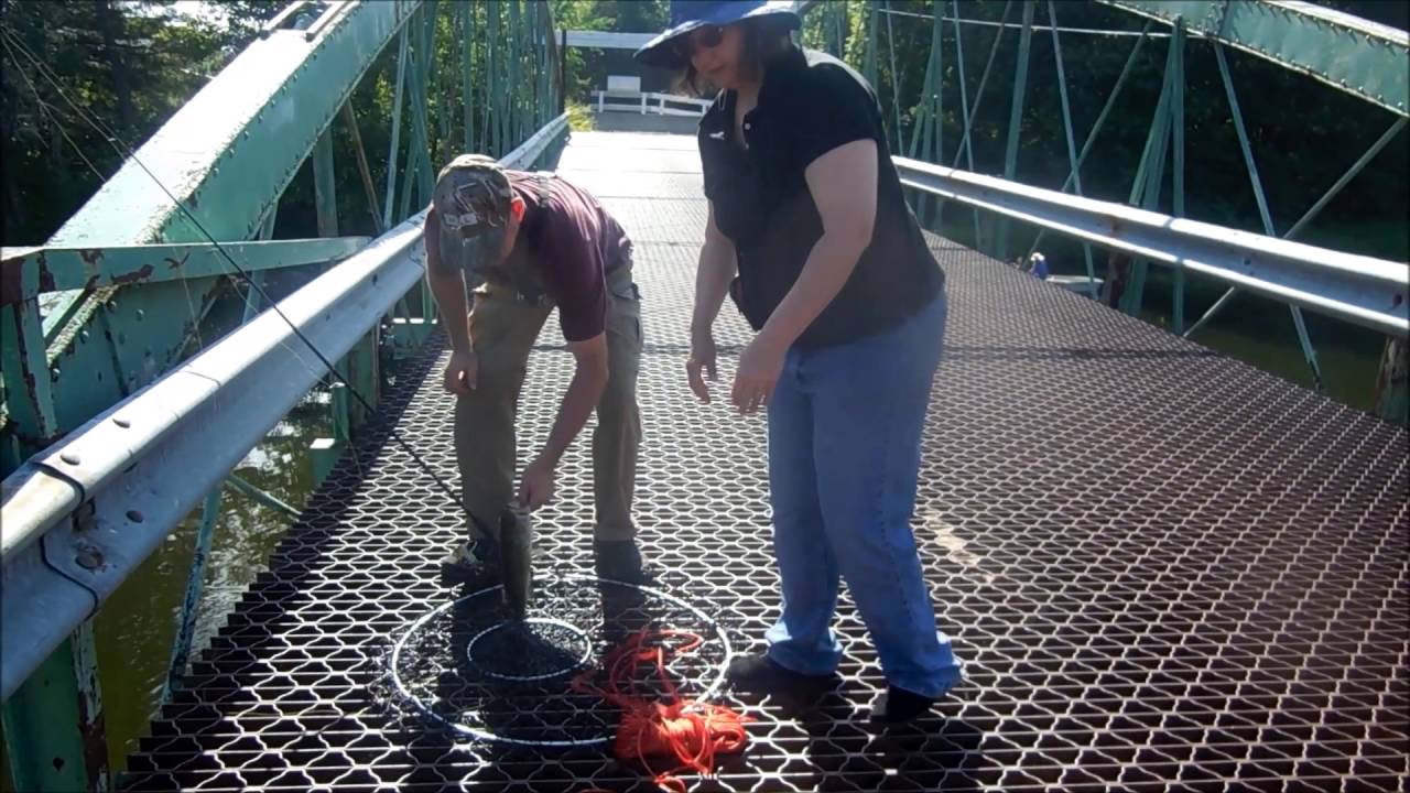 fishing day 3 Oswegatchie River YouTube