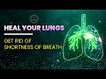 Heal your lungs  get rid of shortness of breath coughing allergies infections  fatigue  528 hz