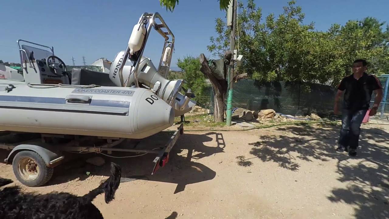 Documentário Cão d'água português