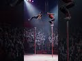 One Leap, One Catch, One Swing, One Landing! 😱🔥 #VanshAcrobatics #ExtremeAcrobatics #Acrobatics