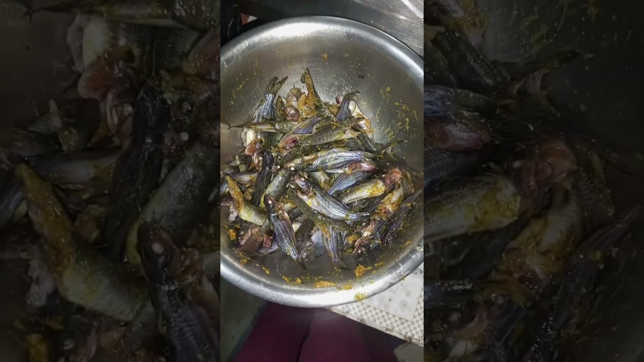 #taaza taaza small fish tengra#4k