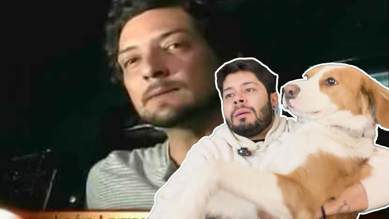 Defendiendo Famosos Haciendo el Oso