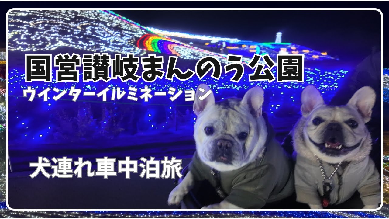 国営讃岐まんのう公園/ ウィンターイルミネーション/車中泊旅/ 犬連れ旅/ 香川県