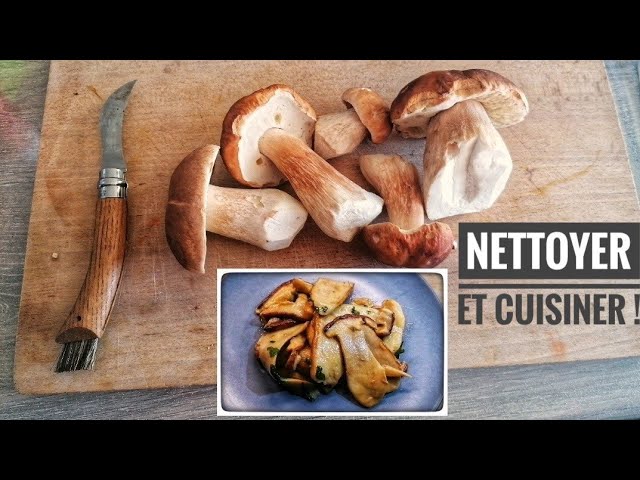 Cuisine Plaisir - Nettoyer un champignon : conseils, découpe et cuisson  idéales - Astuce culinaire