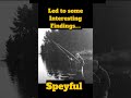 speycasting variant leads to advanced knowledge in Flycasting