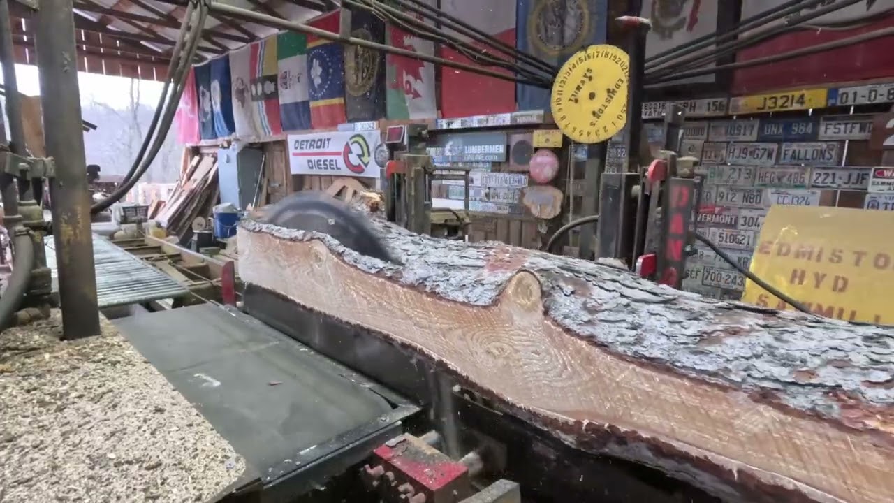 Sawing two knotty norway spruce logs for the sawdust bin # 689