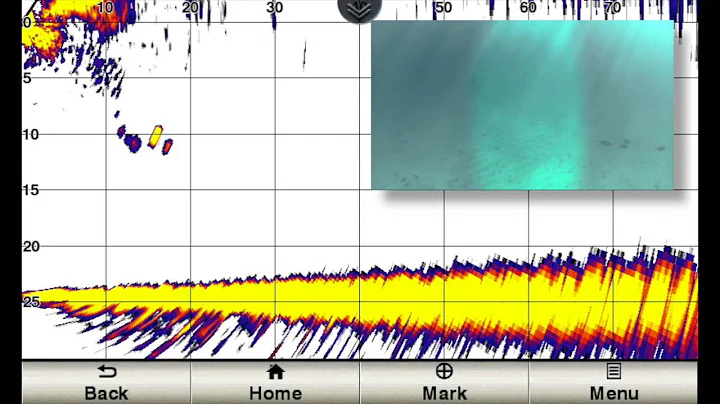 Garmin Panoptix™ - Sonar and Video - Front Facing sonar