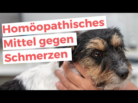 Video: Wie man einen Hundeausschlag um das Auge behandelt